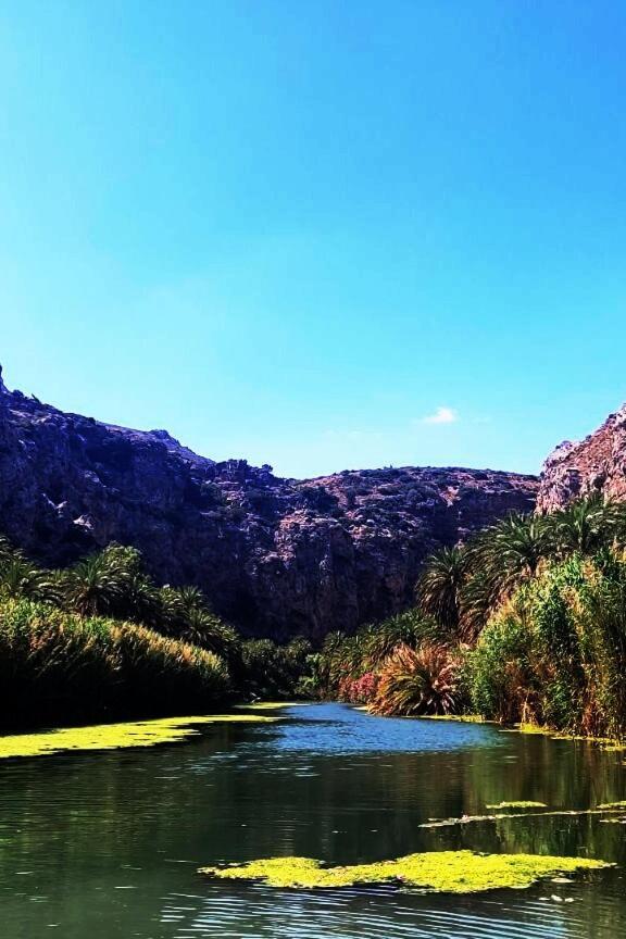 Varsamos Yiannioú المظهر الخارجي الصورة