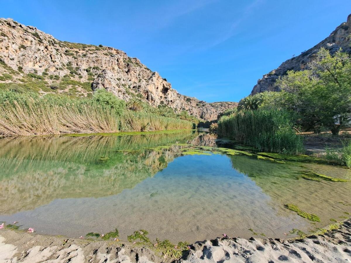 Varsamos Yiannioú المظهر الخارجي الصورة